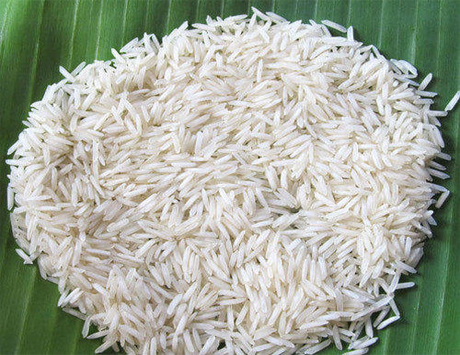 1121 Basmati Rice